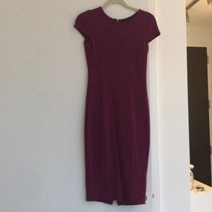 NWOT Felicity and Coco magenta dress!